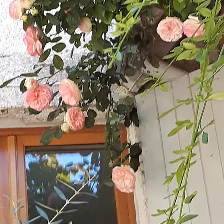 לינה וארוחת בוקר Le Clos Sainte Anne Saint-Prix (Allier)